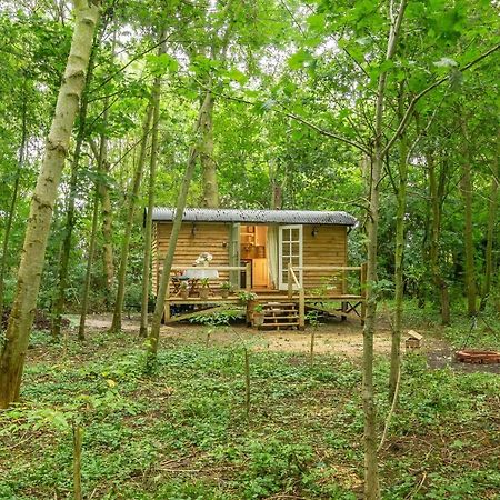 הוילה Brundish Woodland Retreat Shepherds Hut מראה חיצוני תמונה